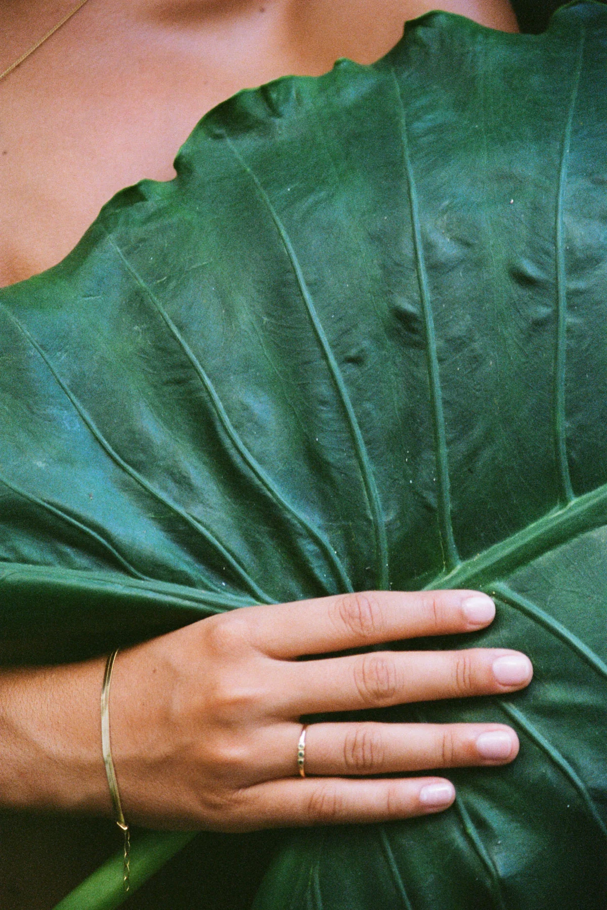 Snake chain bracelet gold plated - Image 5